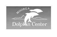 Moorea dolphin